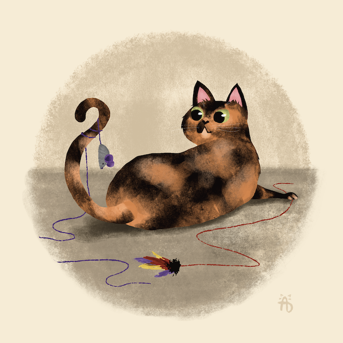 August Kitty