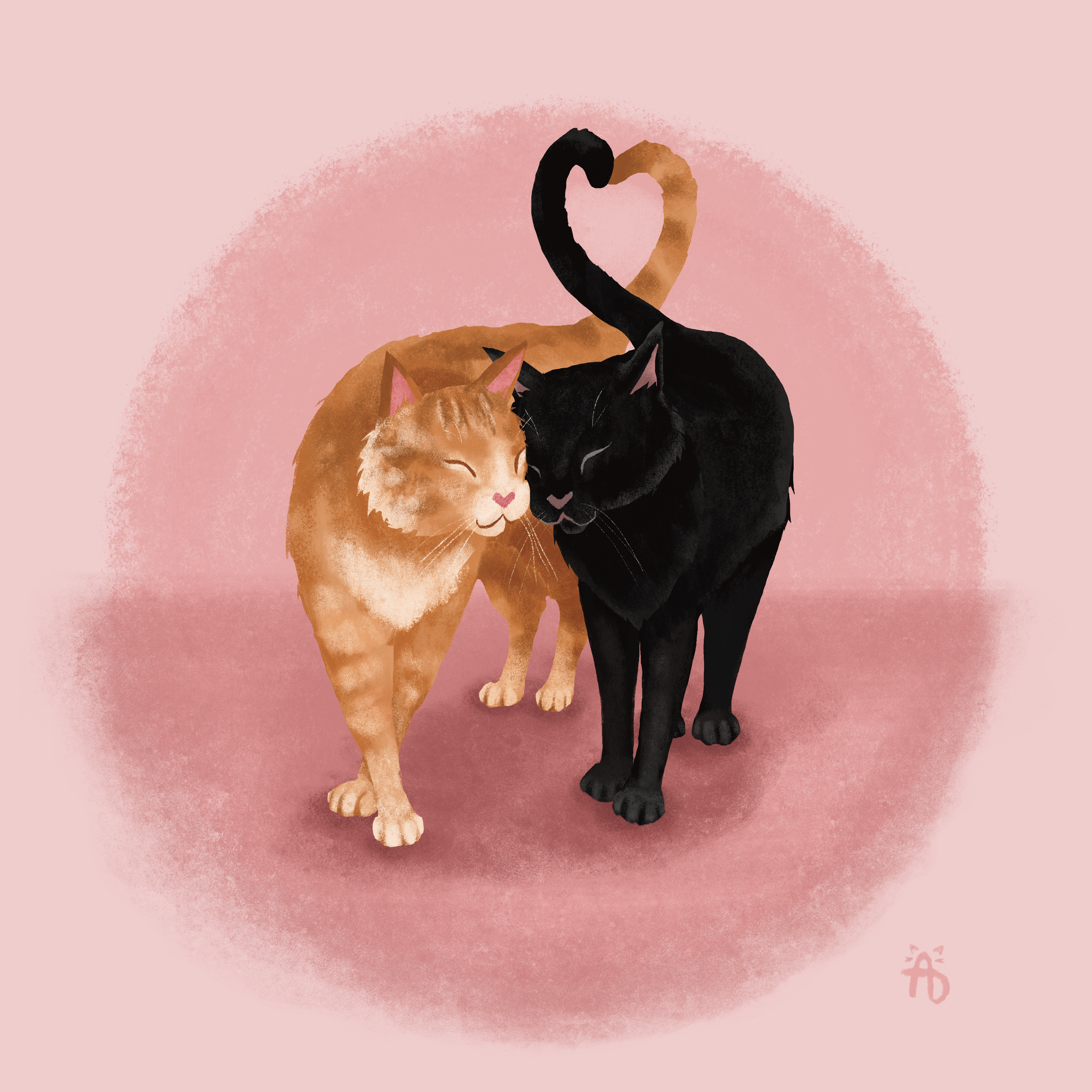 February Kitty