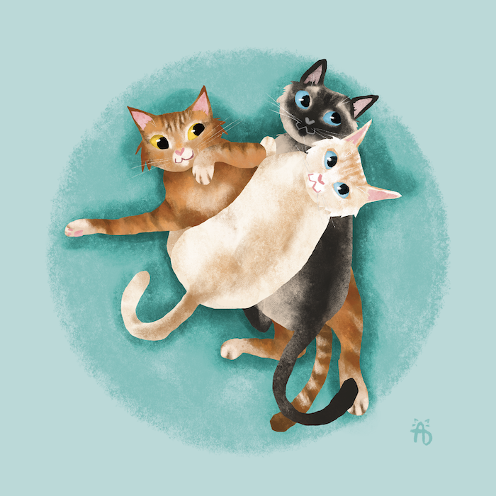 June Kitty