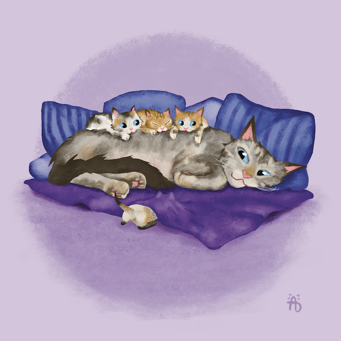 May Kitty