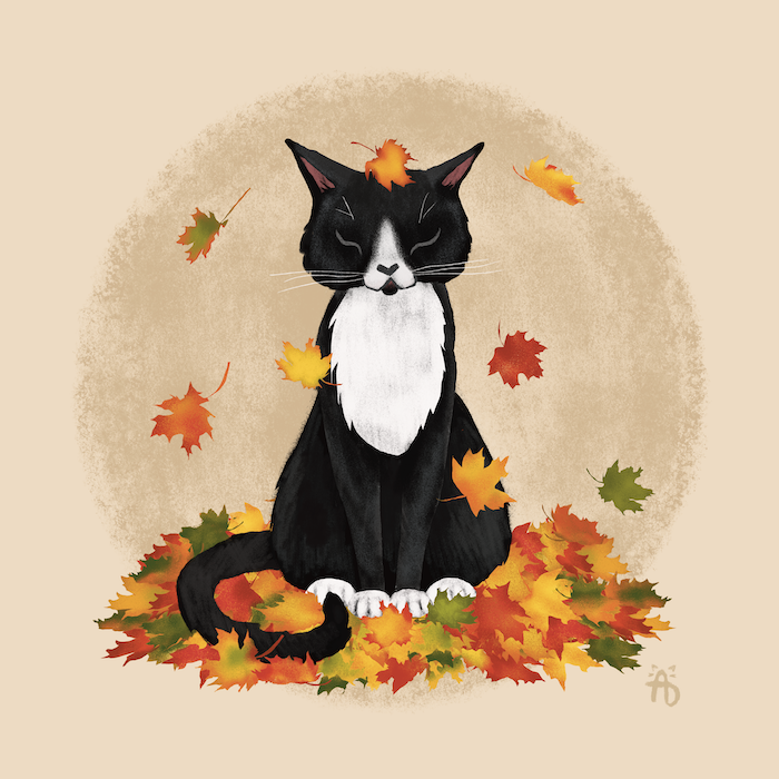 November Kitty