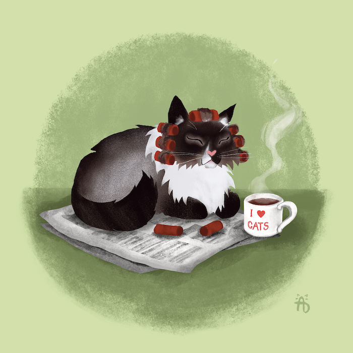 September Kitty